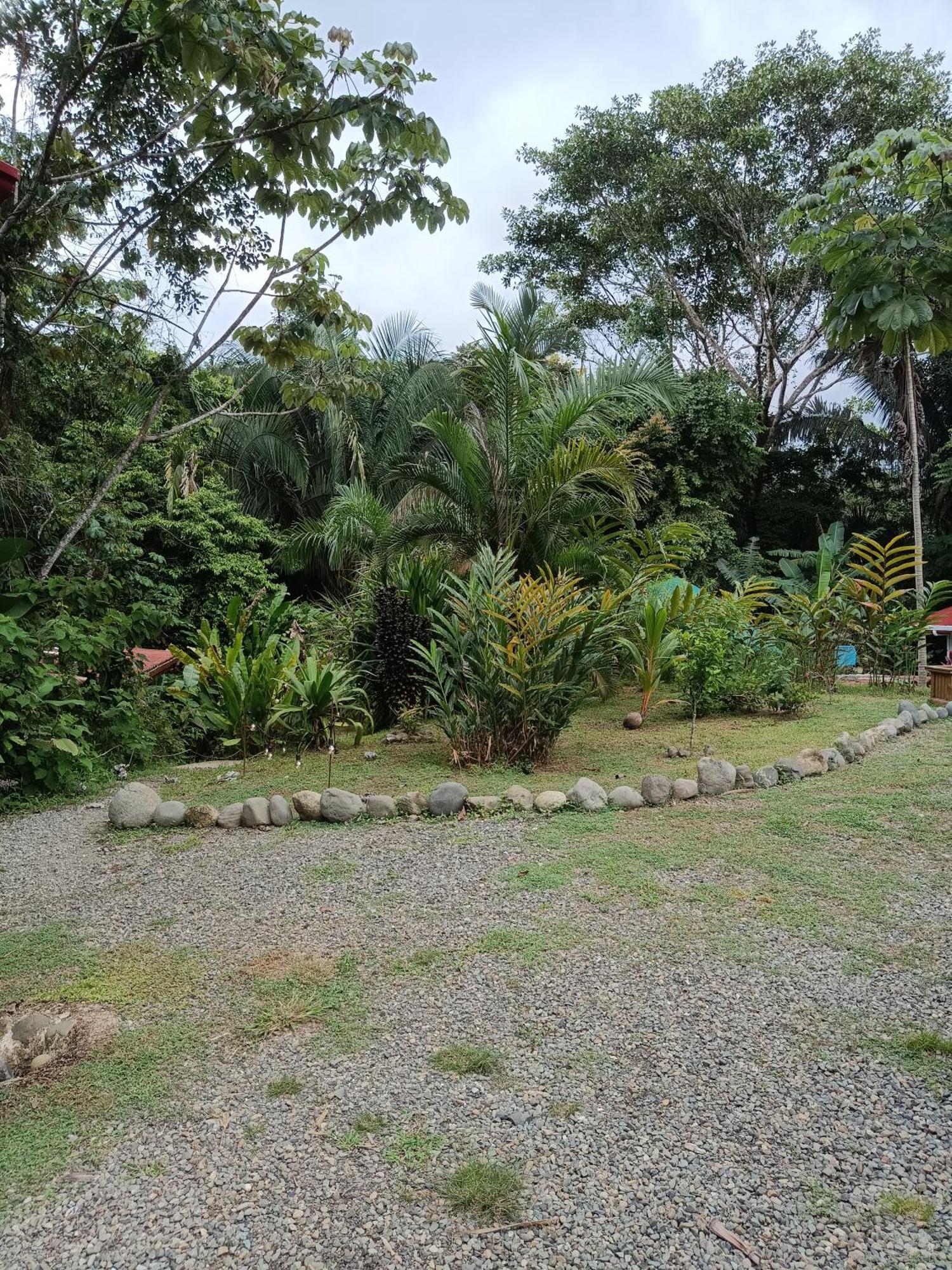 Selva Linda Lodge Vacation Rentals Quepos Exterior photo